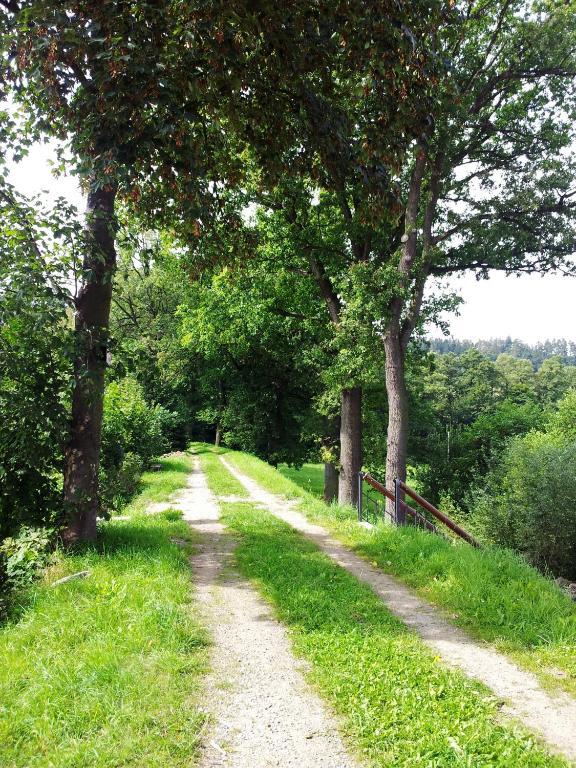 Pension Mlyn Stare Mitrovice Sedlec-Prcice Экстерьер фото