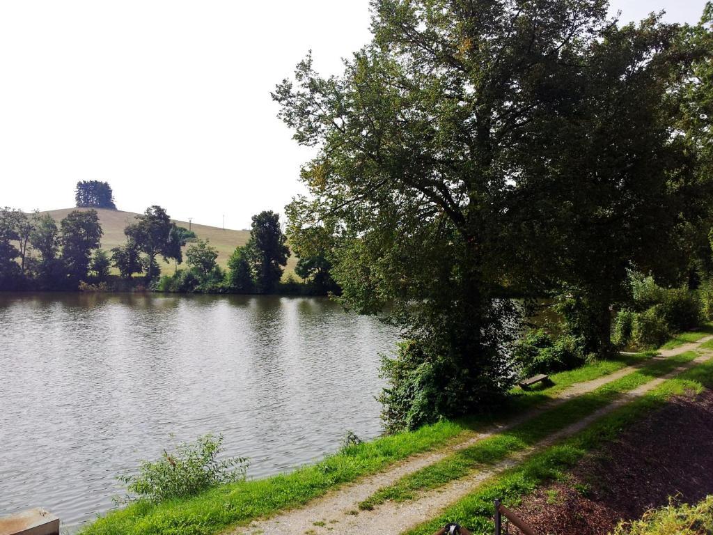 Pension Mlyn Stare Mitrovice Sedlec-Prcice Экстерьер фото