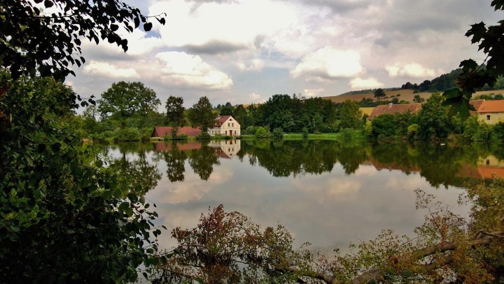 Pension Mlyn Stare Mitrovice Sedlec-Prcice Экстерьер фото
